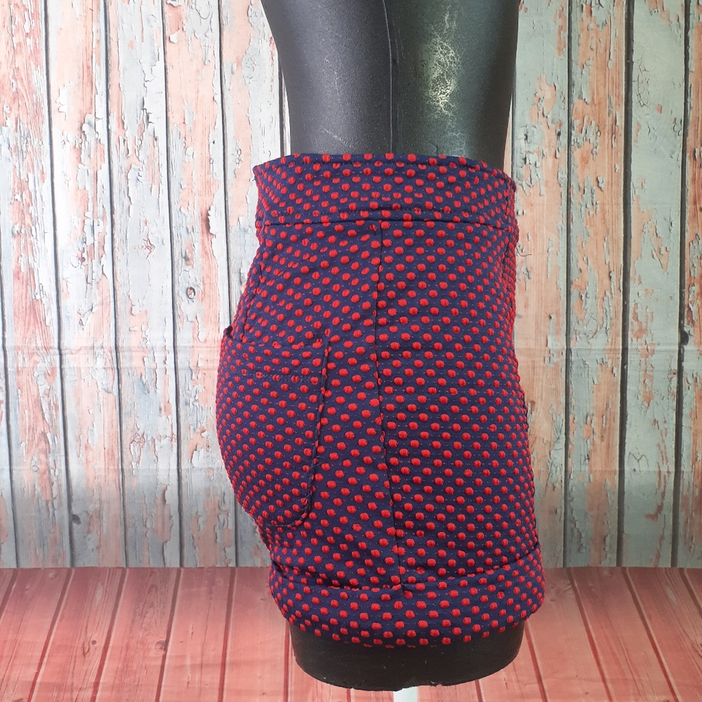 ANTHROPOLOGY High Waisted  Mini Shorts Size S - Picture 2 of 8